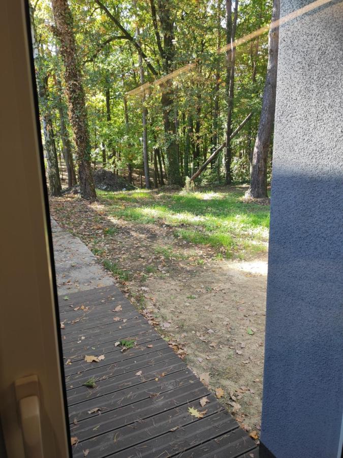 Apartment Nad Jeziorem *